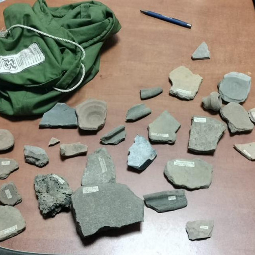 Descoperiri valoroase la Iași: O femeie, prinsă vânzând artefacte dacice