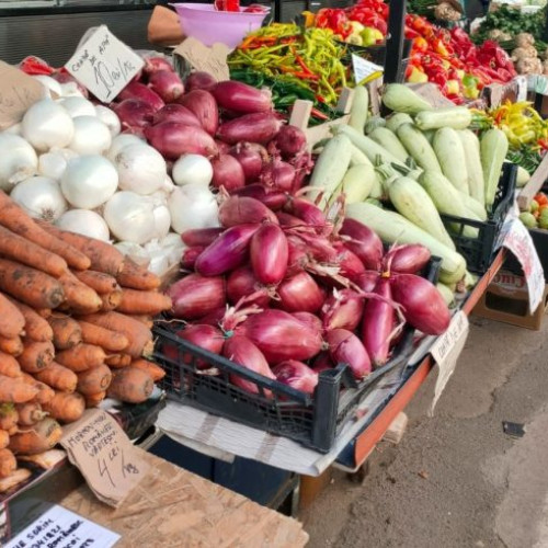 A fost publicat un proiect de Hotărâre a Guvernului pentru susținerea producției de legume