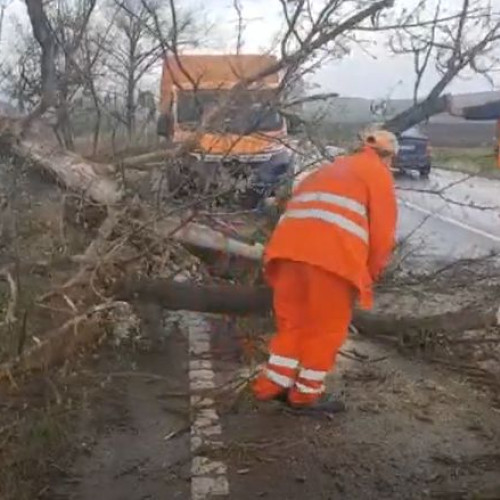 Avertizare de cod galben de vânt puternic în vestul și centrul țării