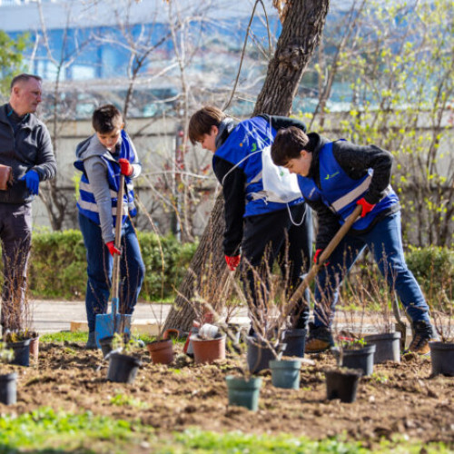 Proiectul educațional "Natura din curtea școlii" la Școala Gimnazială nr. 190 din București