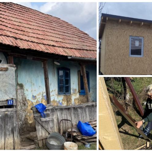Rocsana Contras și voluntarii schimbă viața lui Nea Filip din Camarasu