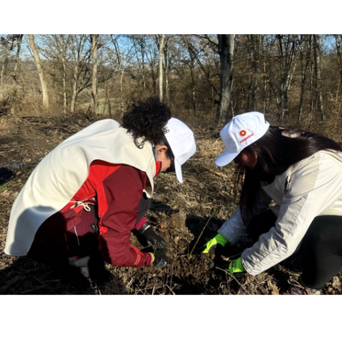 Rompetrol investește în proiecte de mediu și cultură