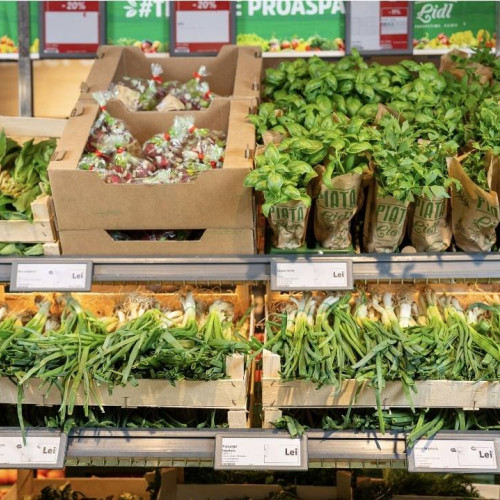 Lidl România introduce verdeturi 100% românești în magazine