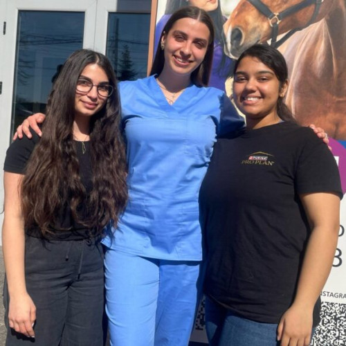 Katherina Pavlova, o tânără din Africa de Sud care studiază medicina veterinara la Iasi