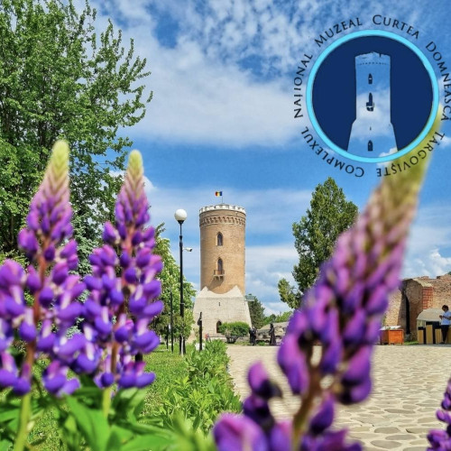 Program de vară la Complexul Național Muzeal "Curtea Domnească" Târgoviște