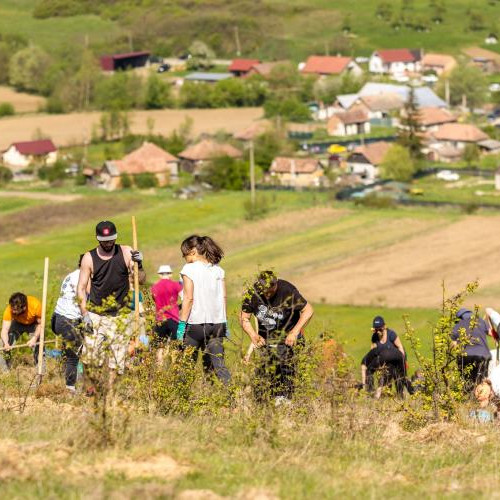 Asociatia Beard Brothers organizează o acțiune de împădurire în satul Suaras