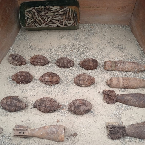 Echipa pirotehnică a găsit muniție expusă în pădurea Nemuțior