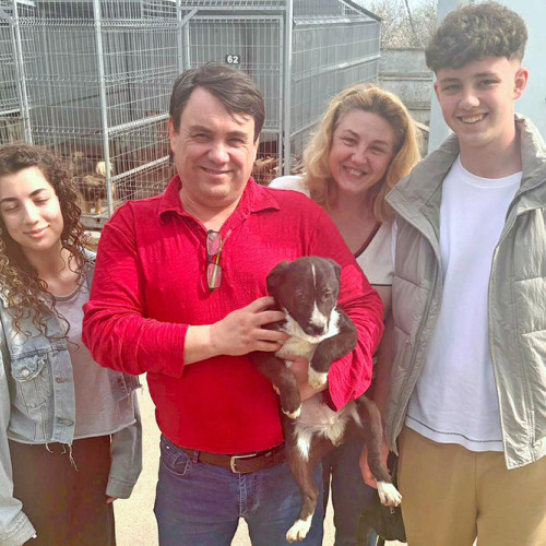 Mama lui Lucky a fost abandonată, iar cățelul începe o nouă viață