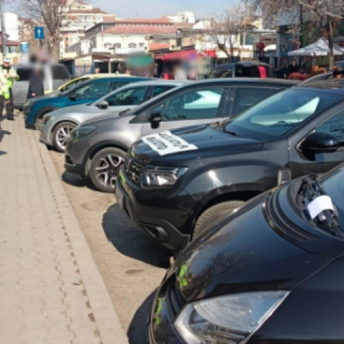 Peste 1.100 de lei în amenzi aplicate de polițiștii locali din Botoșani