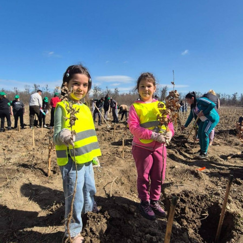 Plantare de arbori cu ocazia Zilei Naționale a Pădurilor