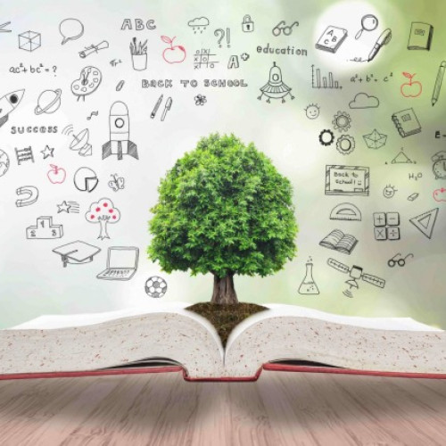 Vot pentru concursul „Profesori Altfel”, susținut de Kasper