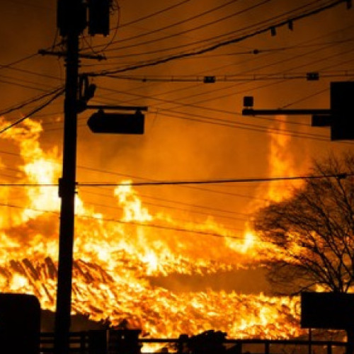 Incendii de vegetație devastatoare în Coreea de Sud