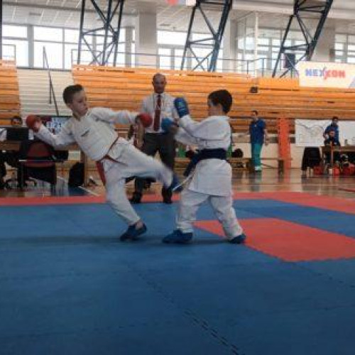Botoșănenii au obținut 55 de medalii la Campionatul Național de Karate WSF