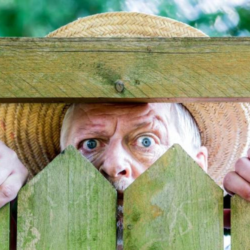 Vecinele din Cluj-Napoca trăiesc un coșmar din cauza unui vecin abuziv