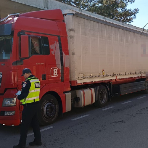 Cetățean turc prins cu permis de conducere fals în Portul Constanța