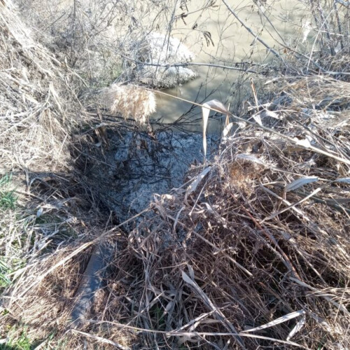 Compania de Utilități Publice Dunărea Brăila sancționată pentru deversări illegale