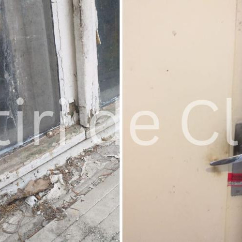 Vecinii din Cluj-Napoca trăiesc un coșmar după moartea unei femei