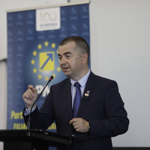 Decizia Tribunalului Tulcea în cazul edilului Ștefan Ilie