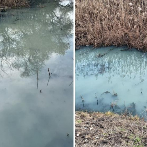 Mirosuri insuportabile în comuna Apahida, Cluj