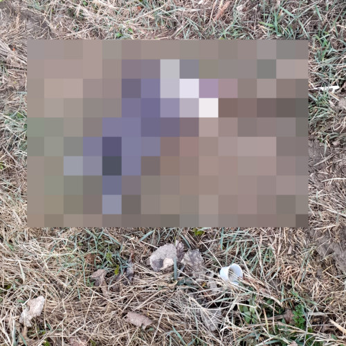 Fetita abandonată pe câmp, adoptată de o familie din Sibiu