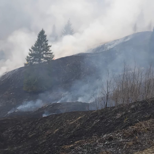 Incendiu de vegetație în comuna Poiana Teiului