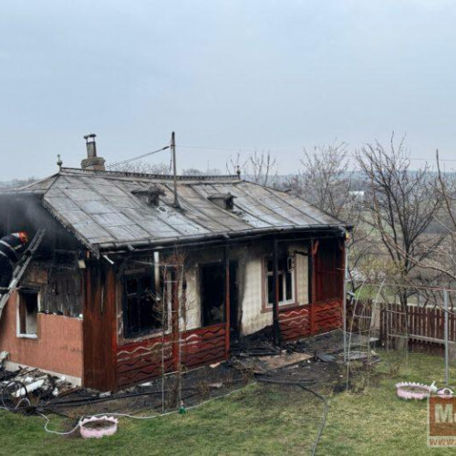 Incendiu devastator în Vladeni: O familie rămâne fără cămin