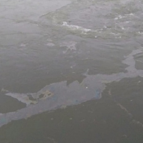 Alertă de poluare pe Dunăre în zona Moldova Nouă