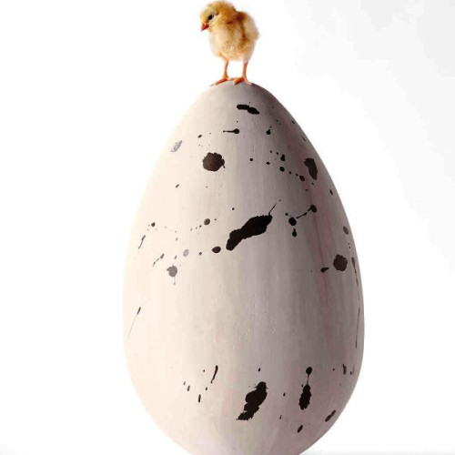 Primăria Focșani alocă 25.000 de lei pentru un ou gigantic