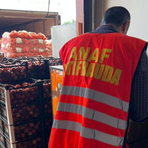 Datorii de 3,9 milioane de lei descoperite în urma unui control ANAF