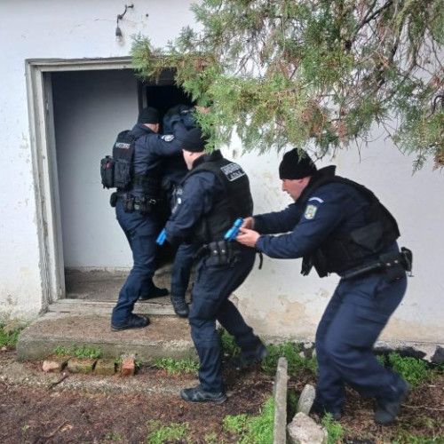 Activități de pregătire comună în Vrancea pentru prevenirea terorismului