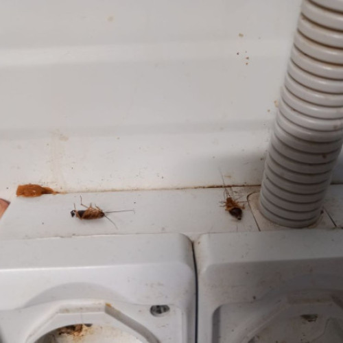 Control al CJPC Bihor la Hanul cu Noroc Oradea