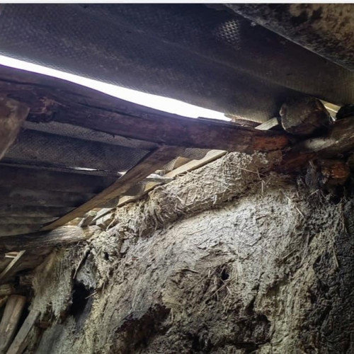 Trei surori din Pașcani au nevoie urgentă de ajutor