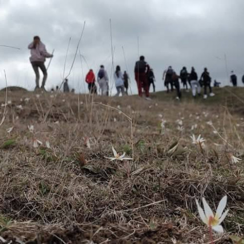 Activitate educațională în Parcul Natural Bucegi