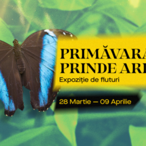 Mega Mall găzduiește o expoziție de fluturi tropicali