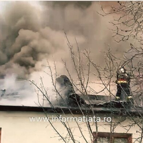 Incendiu devastator la un atelier de mobilă din Ipotesti