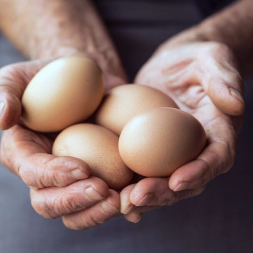 Guvernul american caută soluții pentru criza ouălor