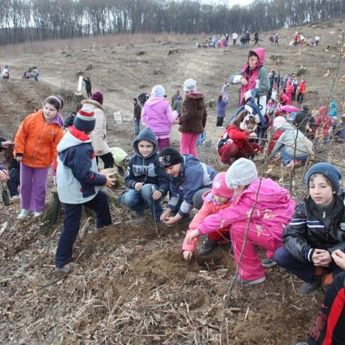 Activități educaționale pentru copii la RPLP Kronstadt