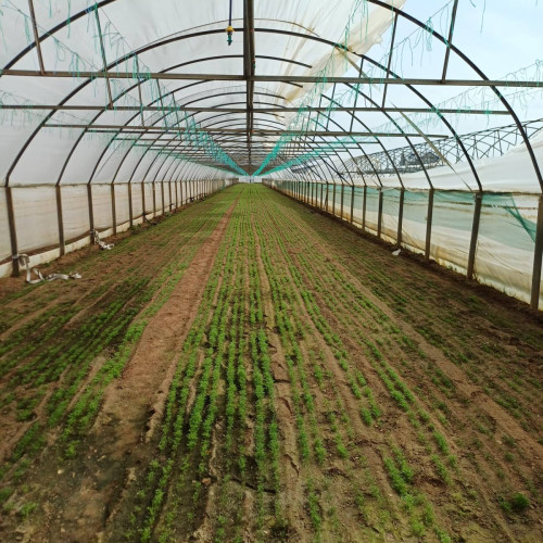 Vântul puternic provoacă daune în Baleni