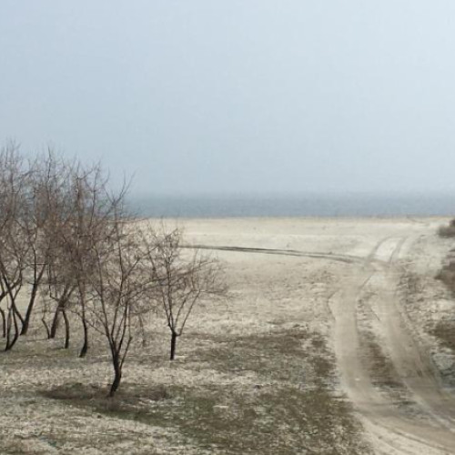 Licitație pentru terenuri în Corbu programată pe 7 aprilie 2025