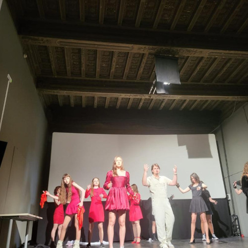 Colegiul Național "Mihai Eminescu" din Botoșani, la Festivalul Internațional "Theatralisons ensemble"