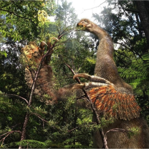 O nouă specie de dinozaur descoperită în Mongolia