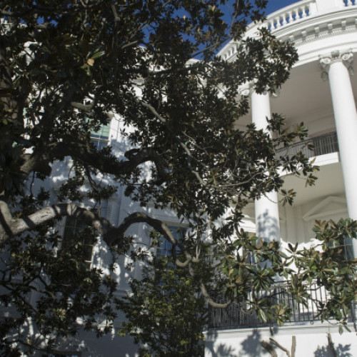 Donald Trump anunță tăierea celebrei &quot;Jackson Magnolia&quot; de la Casa Albă