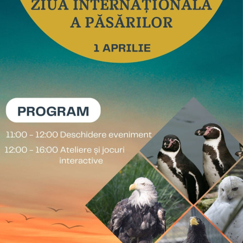 Ziua Internațională a Păsărilor va fi sărbătorită la Brașov