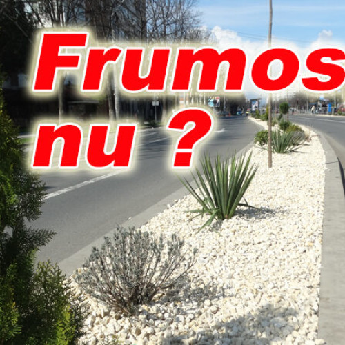 Urbis Serv preia îngrijirea spațiilor verzi de pe Bdul Unirii