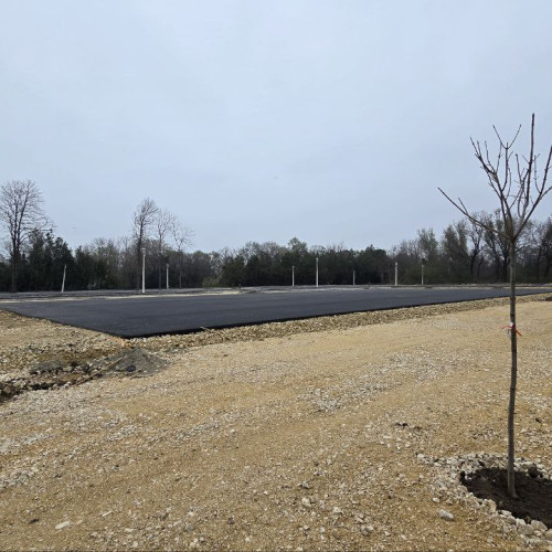 Plantare de arbori la Palatul Copiilor pe 12 aprilie 2025