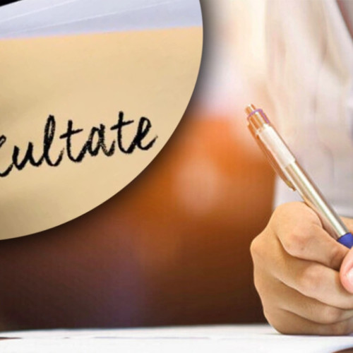 Rezultatele Simularii Evaluării Naționale pentru Absolvenții de Clasă a VIII-a