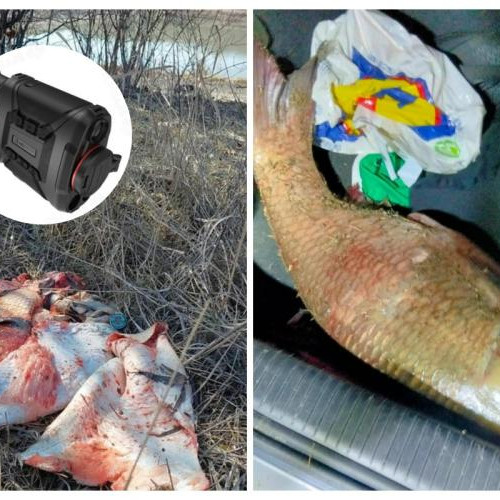 Primarul comunei Apahida organizează acțiuni pentru prinderea braconierilor