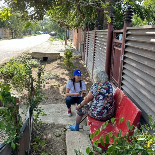 Studiu asupra câinilor și pisicilor în Ilfov