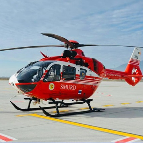 Bărbat atacat de urs, transportat la spitalul Floreasca