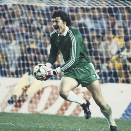 O statuie pentru Helmut Duckadam în satul său natal